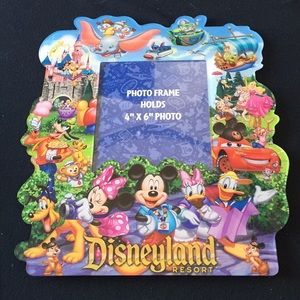Disneyland picture frame